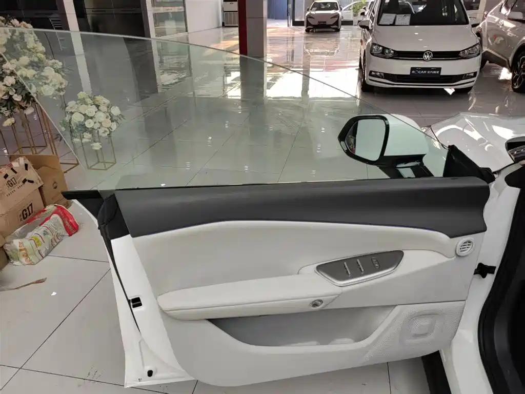 ARCFOX EXTREME FOX POLAR FOX ALPHA S5