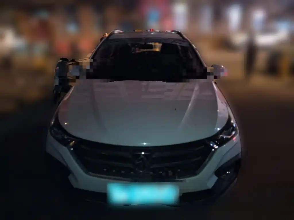 Photo 2 - Baojun 310W