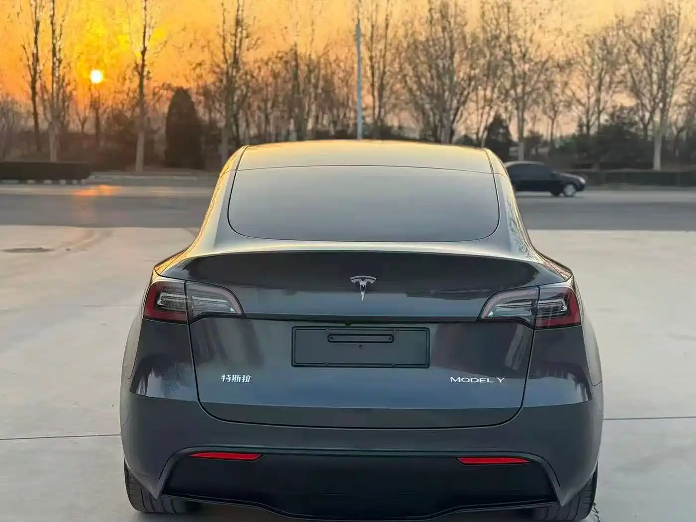 TESLA MODEL Y
