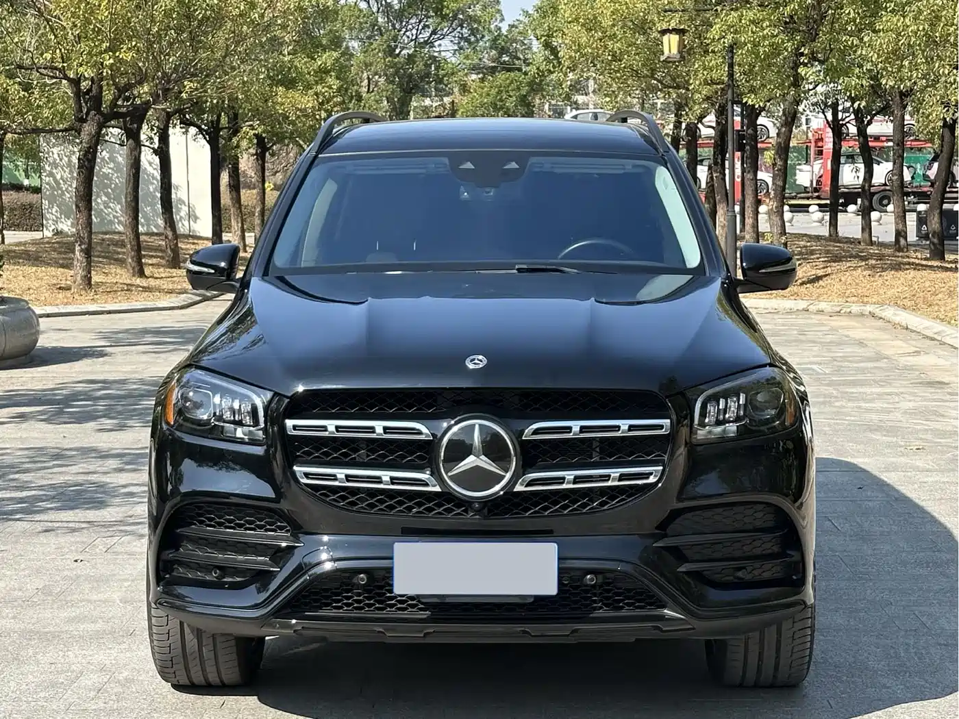 Mercedes-Benz GLS 2023 GLS 450 4MATIC Luxury Edition фото 5