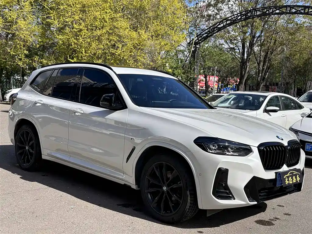 BMW X3 2022 xDrive30i Premium M Night Package фото 6
