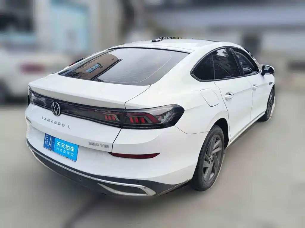 صورة 5 - Volkswagen Lamando