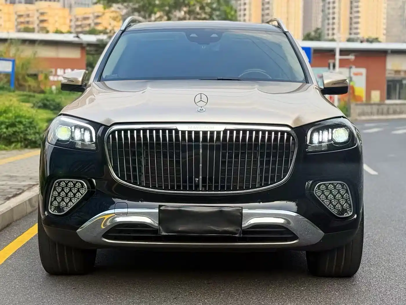 Mercedes-Benz GLS 2024 Model GLS 450 4MATIC Luxury фото 2