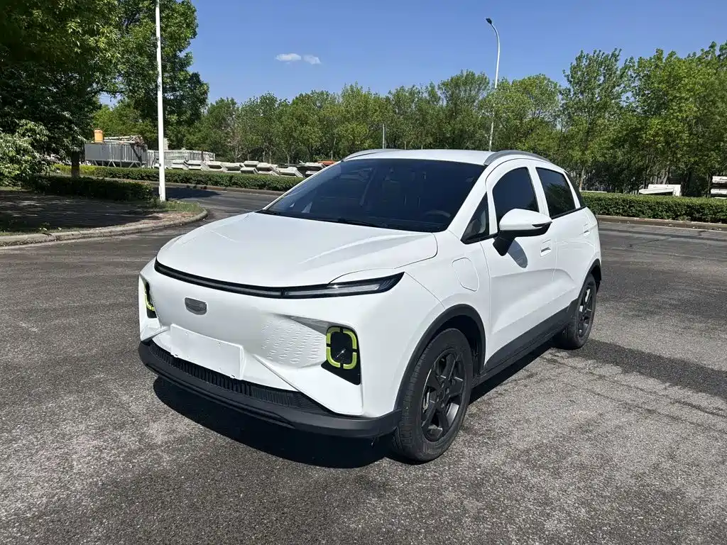 Geely Geometry E Firefly 2023 2023 320KM Cute Tiger 5-seater