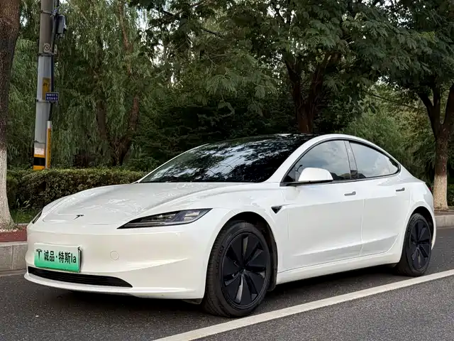 Tesla Model 3 Задний привод