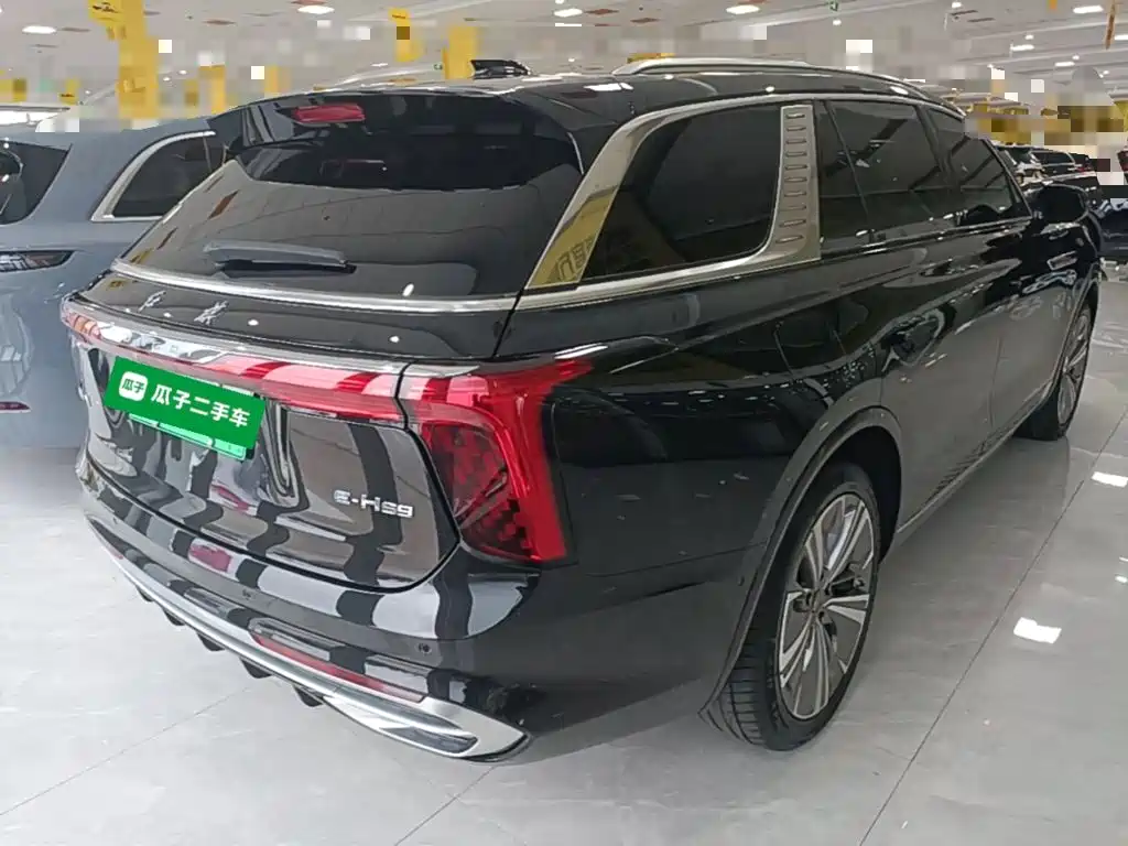 Фото 7 - Hongqi E-HS9