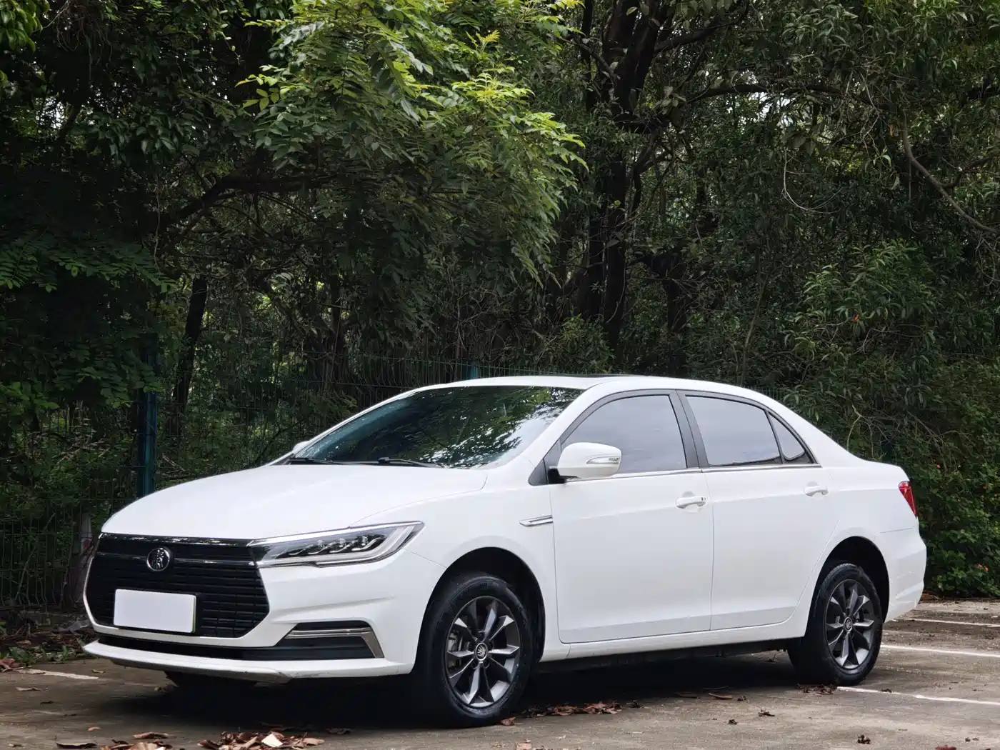 BYD Qin New Energy 2021 2019 Travel Edition