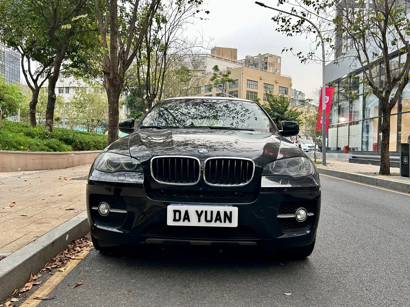 BMW X6 2009 xDrive35i фото 2