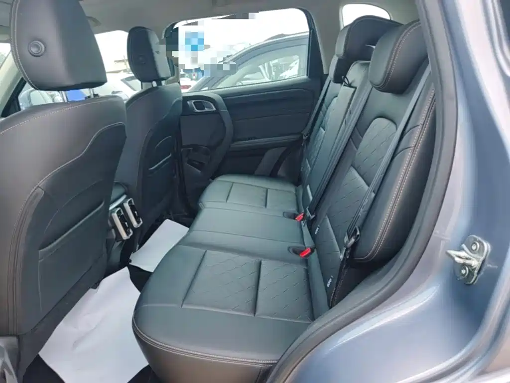 Haval Big Dog 2025 2024 1.5T DCT Border Collie Edition