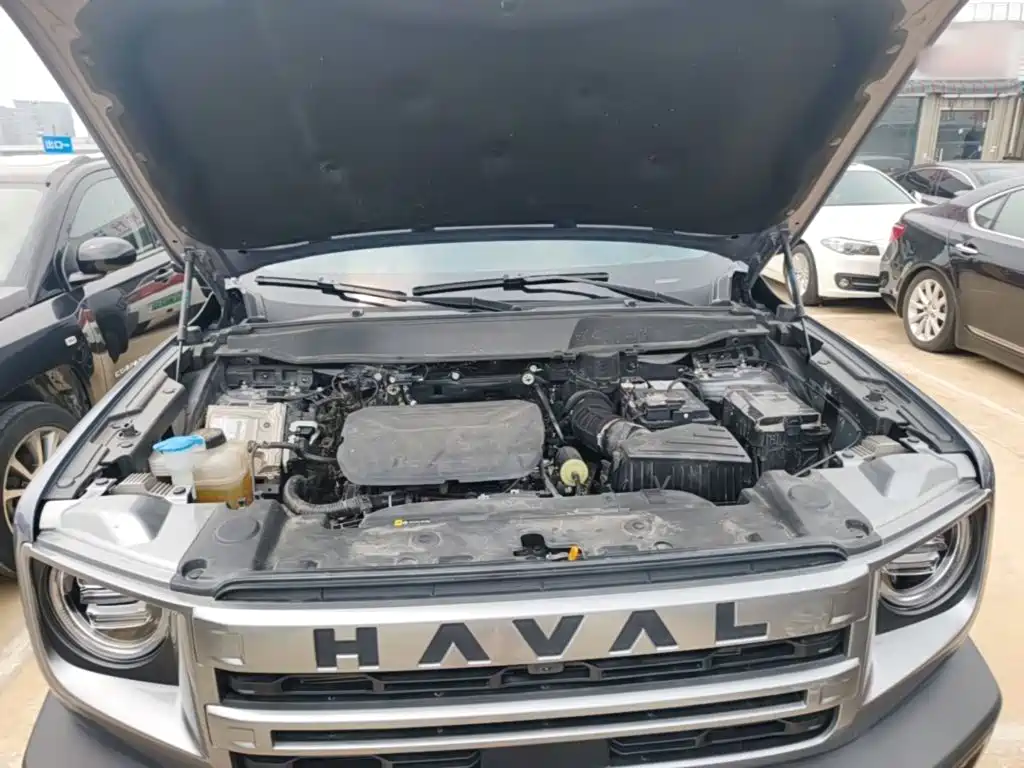 Haval Big Dog 2025 2024 1.5T DCT Border Collie Edition