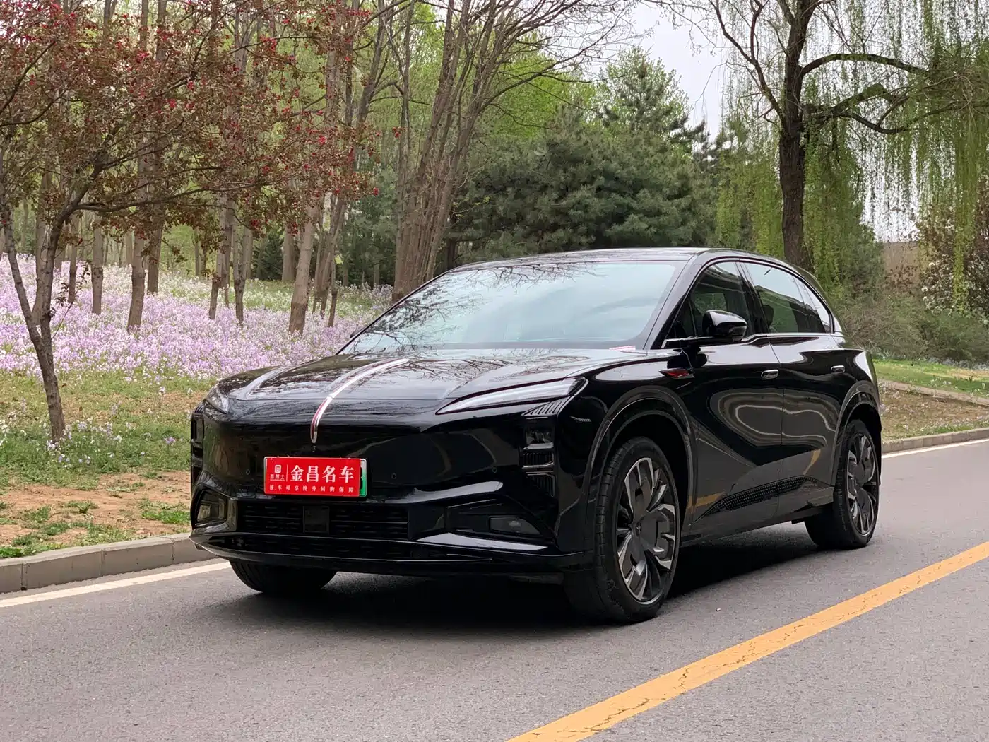 Hongqi HONGQI TIANGONG 08