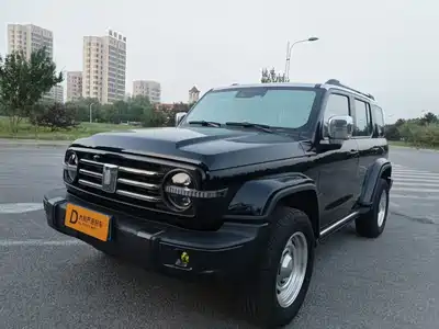 Tank 300