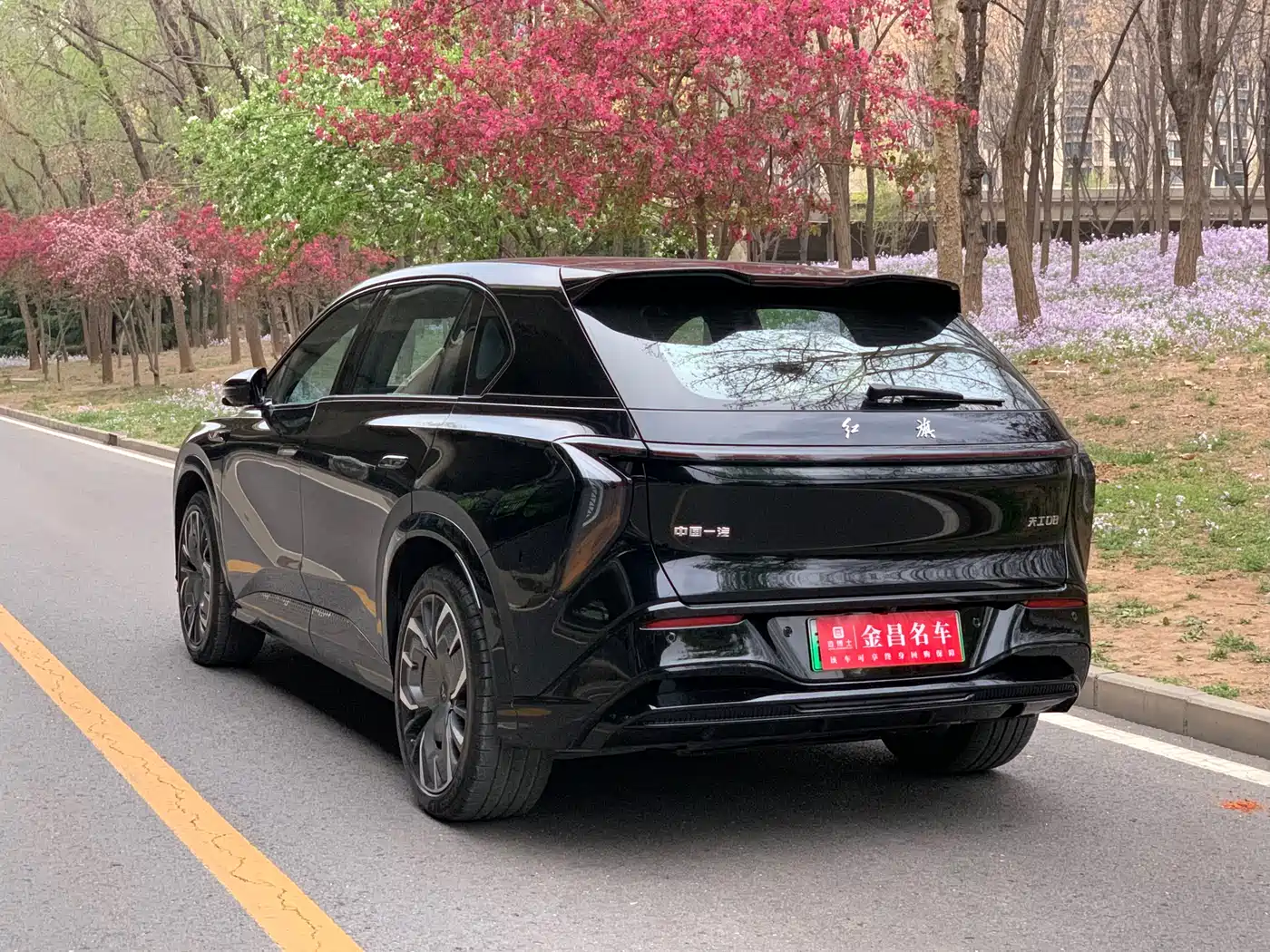 Hongqi HONGQI TIANGONG 08