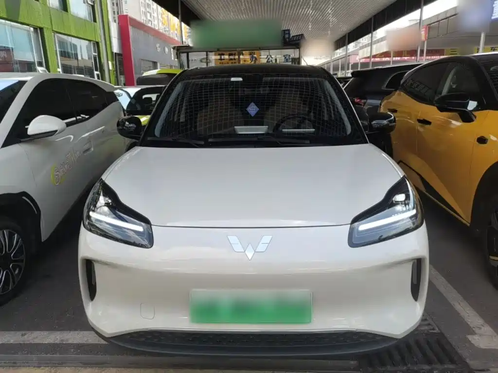 Wuling Motors Wuling Binguo PLUS 2025 2024 401km Range 5-seater