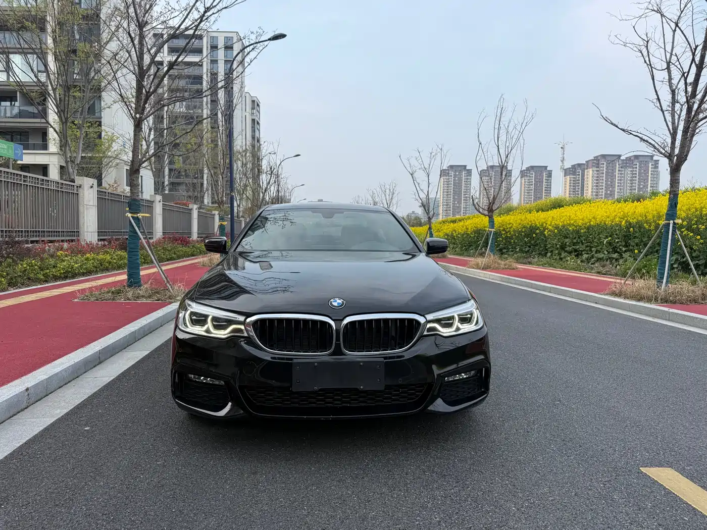 BMW 5 Series 2018 Facelift 530Li Leading M Sport Package фото 5