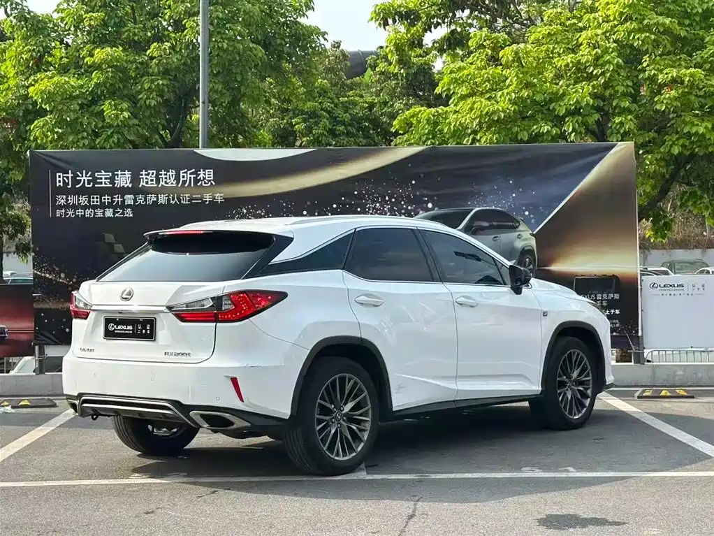 Lexus RX 2016 300 AWD F SPORT Edition China V фото 14