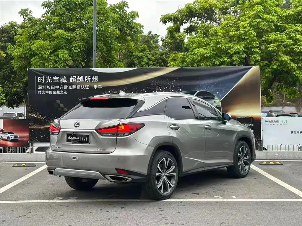 Lexus RX 2020 300 AWD Elegance Edition China V фото 13