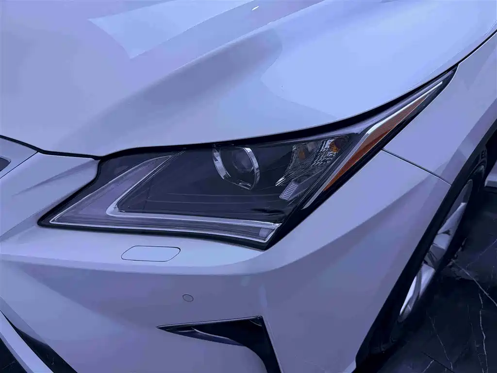 Lexus RX 2016 300 2WD Elite Edition (China V) фото 16
