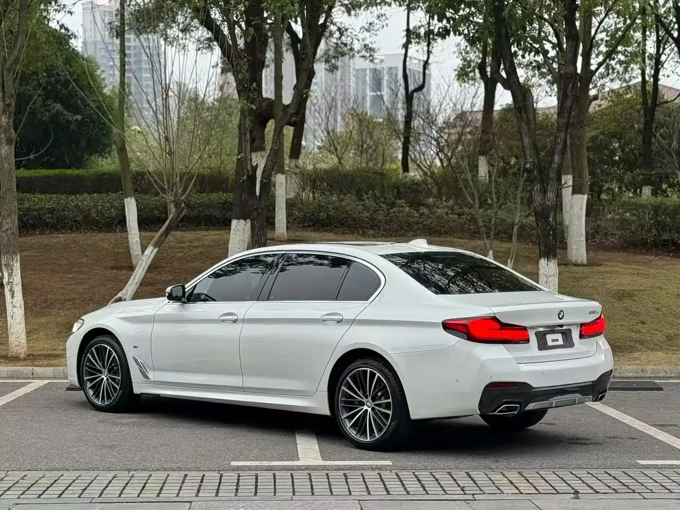 BMW 5 Series 2023 530Li Leading M Sport Package фото 6