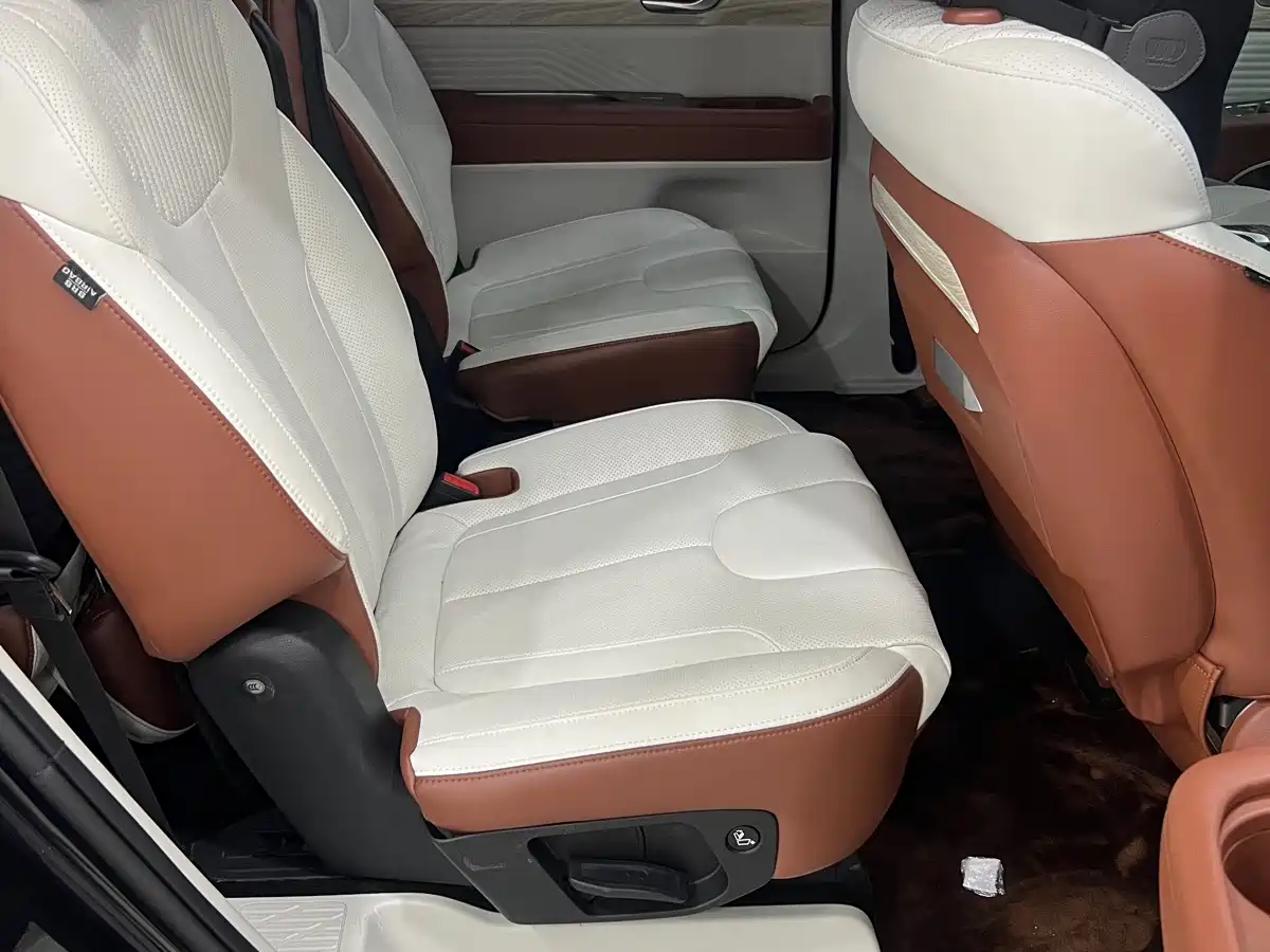 صورة 18 - Hyundai Palisade
