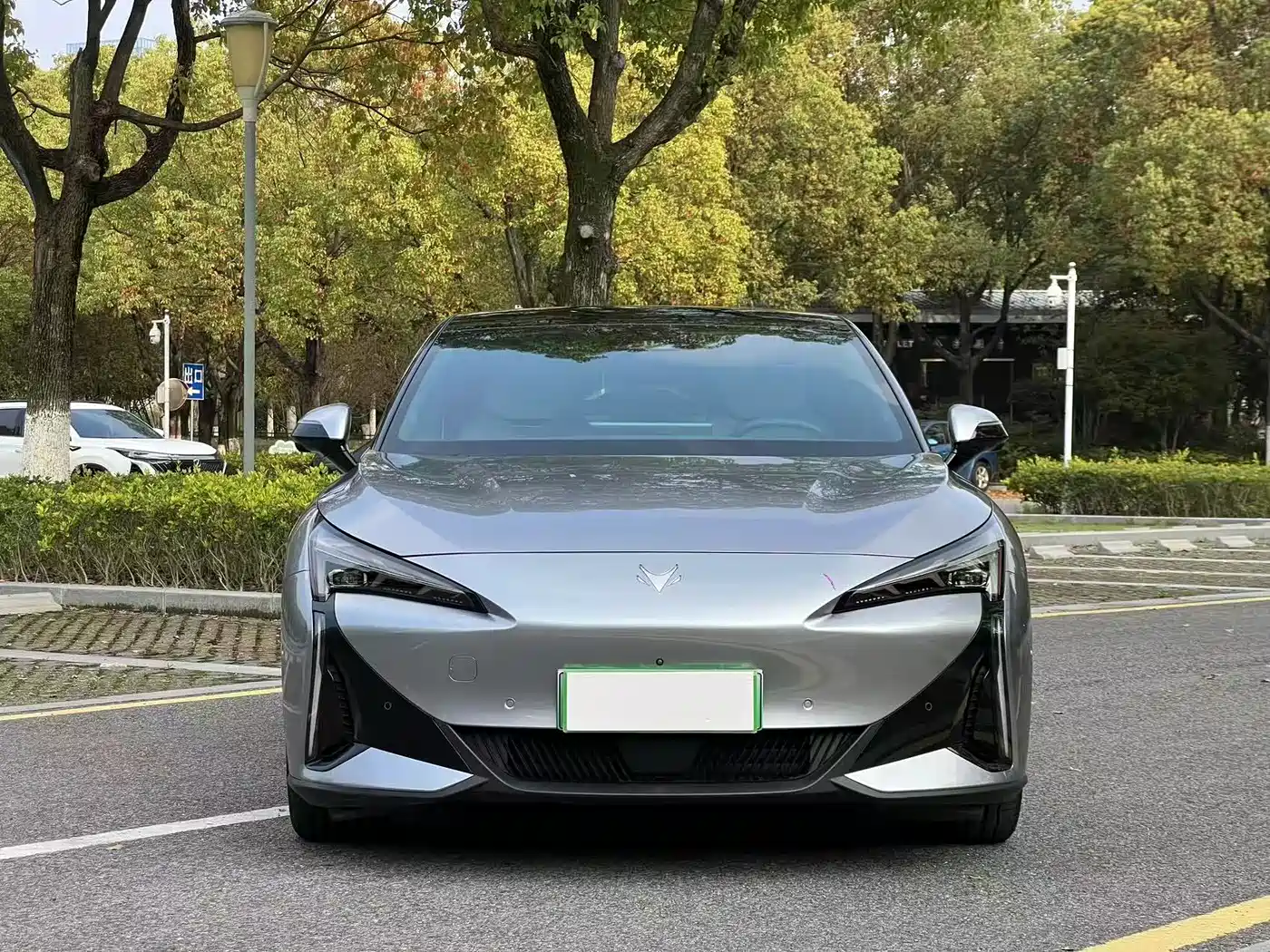 ARCFOX EXTREME FOX POLAR FOX ALPHA S5