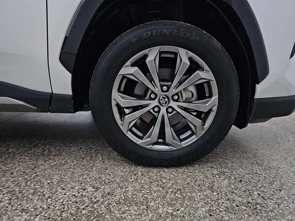 Toyota RAV4 Rongfang 2024 2.0L CVT FWD Style Plus Edition фото 15