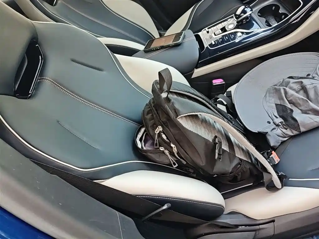 BYD Qin PLUS 2021 DM-i 55KM Flagship фото 25