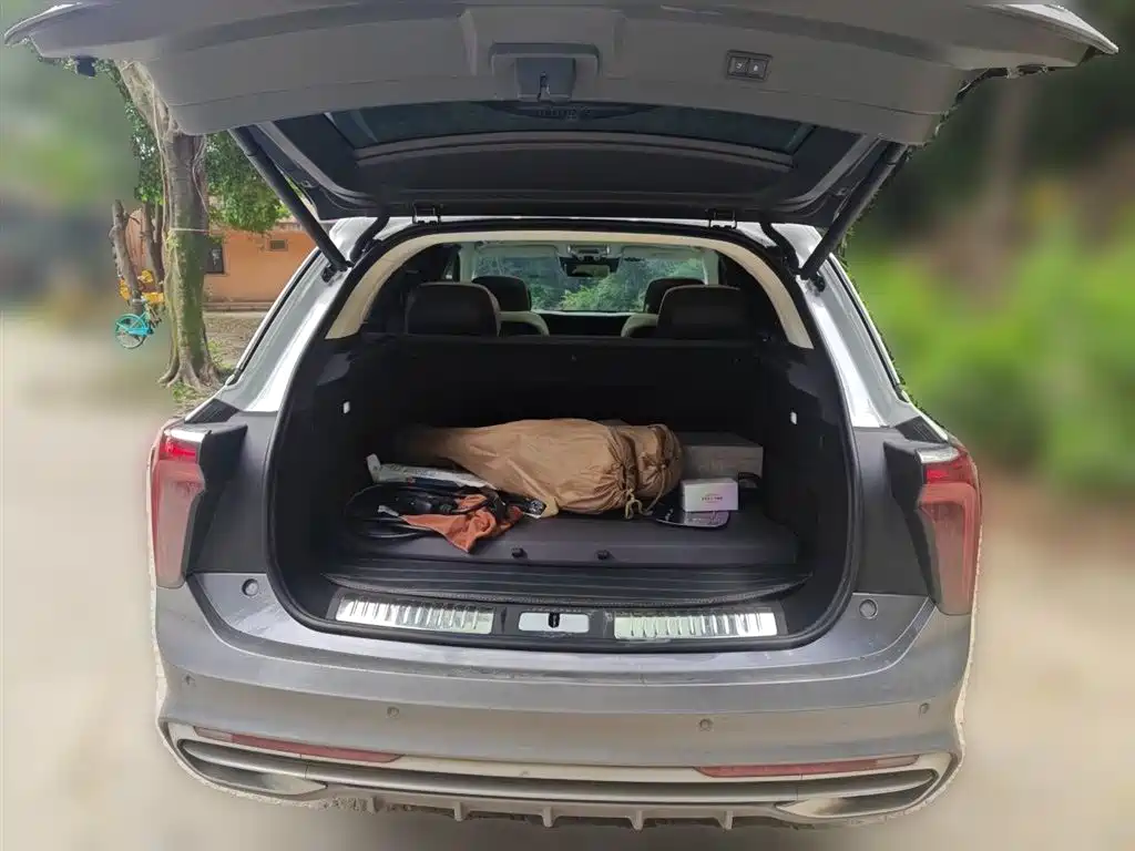 Hongqi E-HS9 2021 510km Flagship Edition 4-seater фото 10