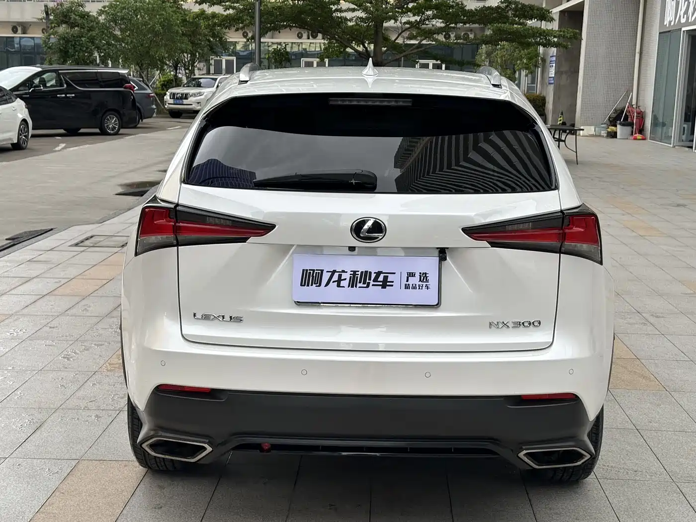 Lexus NX 2017 300 FWD Sharp Edition фото 19