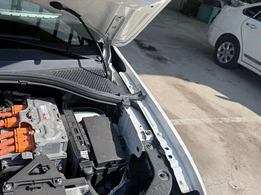 VOLKSWAGEN TIGUAN L NEW ENERGY