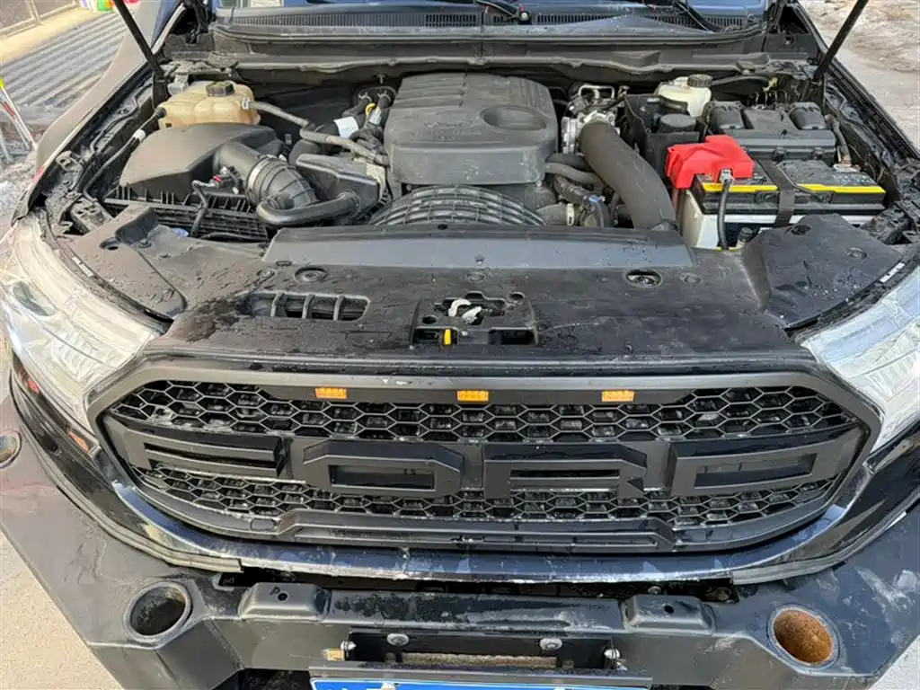 Ford Everest 2016 2.2T Diesel Manual 4WD Luxury Edition фото 10