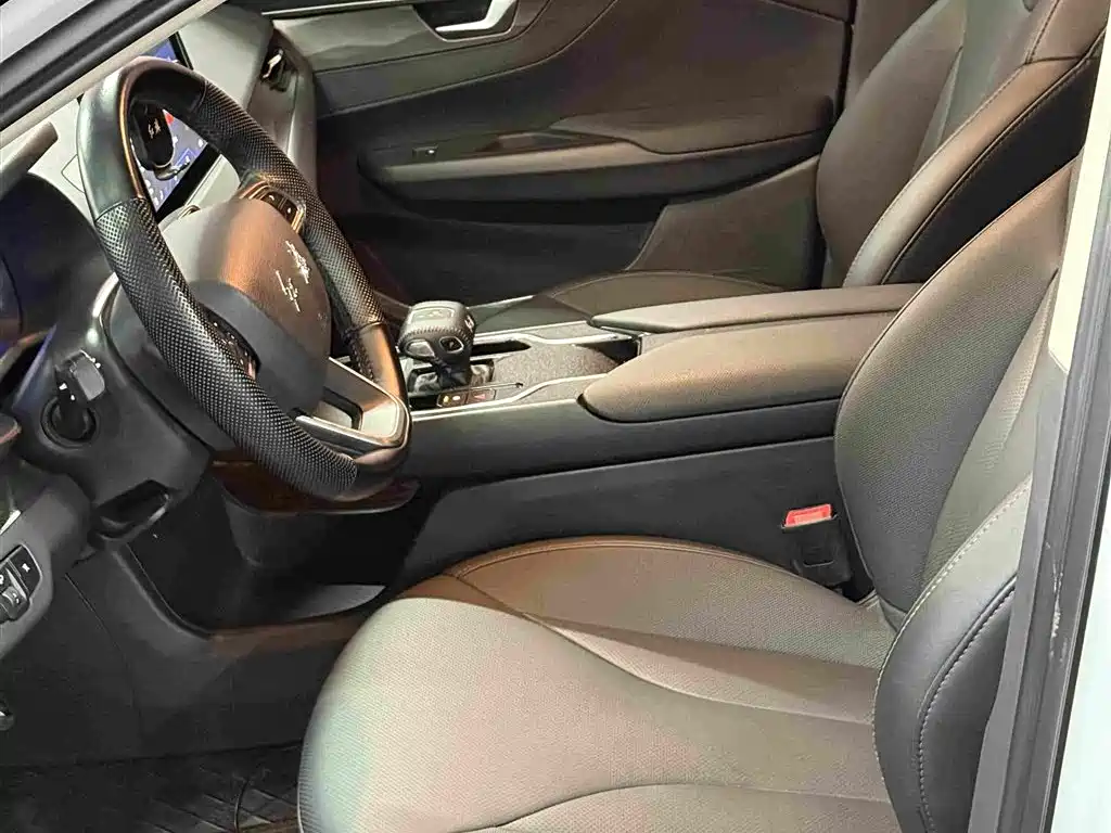 Hongqi E-QM5 2024 2022 431km Charging Enjoyment Edition