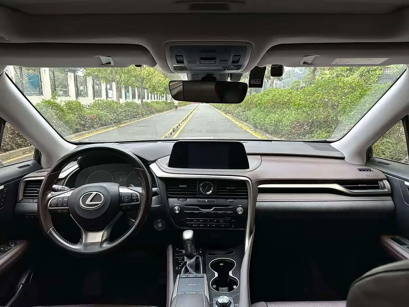 Фото 6 - Lexus RX
