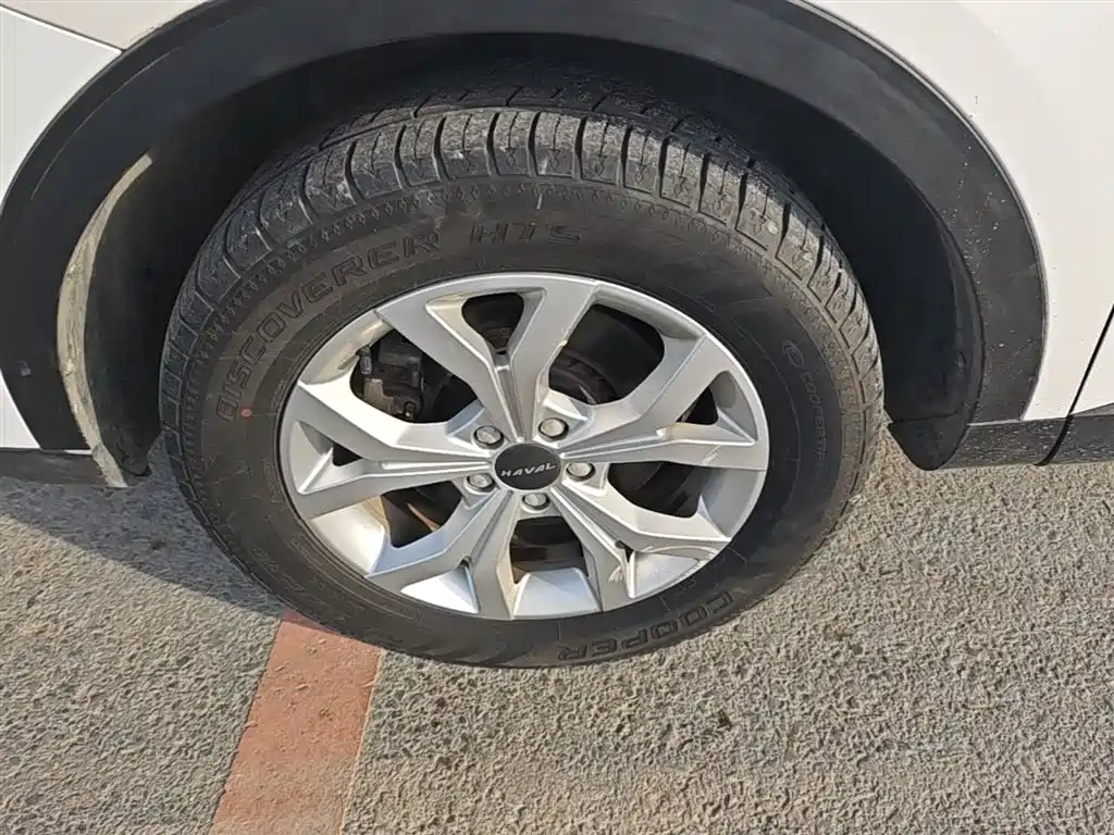 Haval H6 2019 1.5GDIT Automatic Champion Edition China VI фото 23