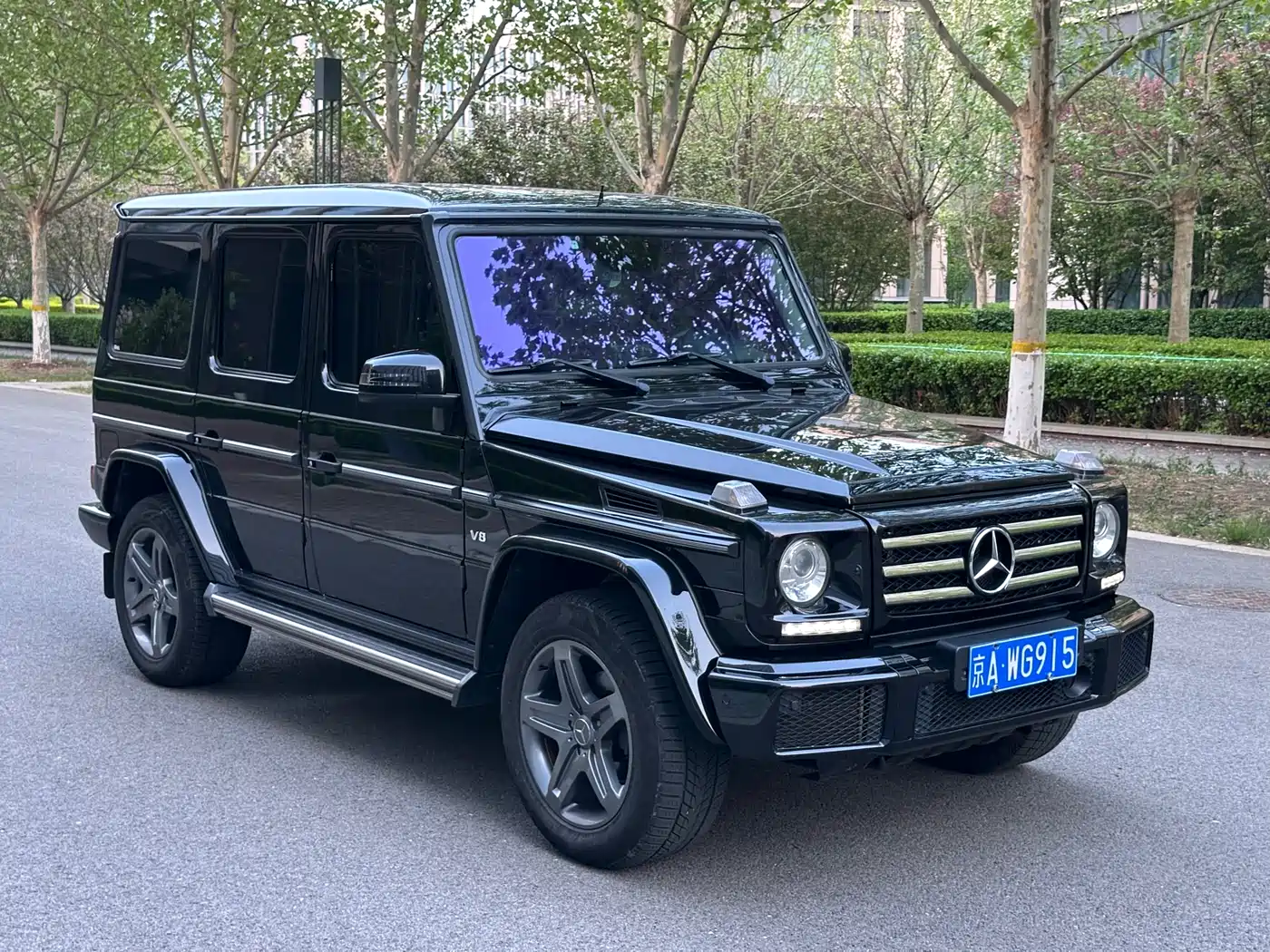 Mercedes-Benz G-Class 2016 G 500 фото 3