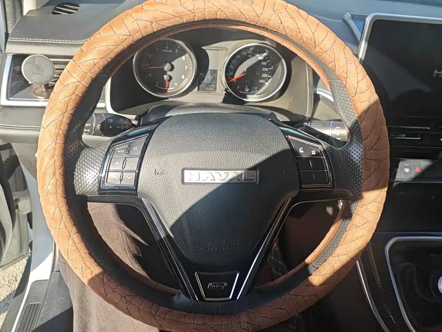 Photo 15 - Haval M6