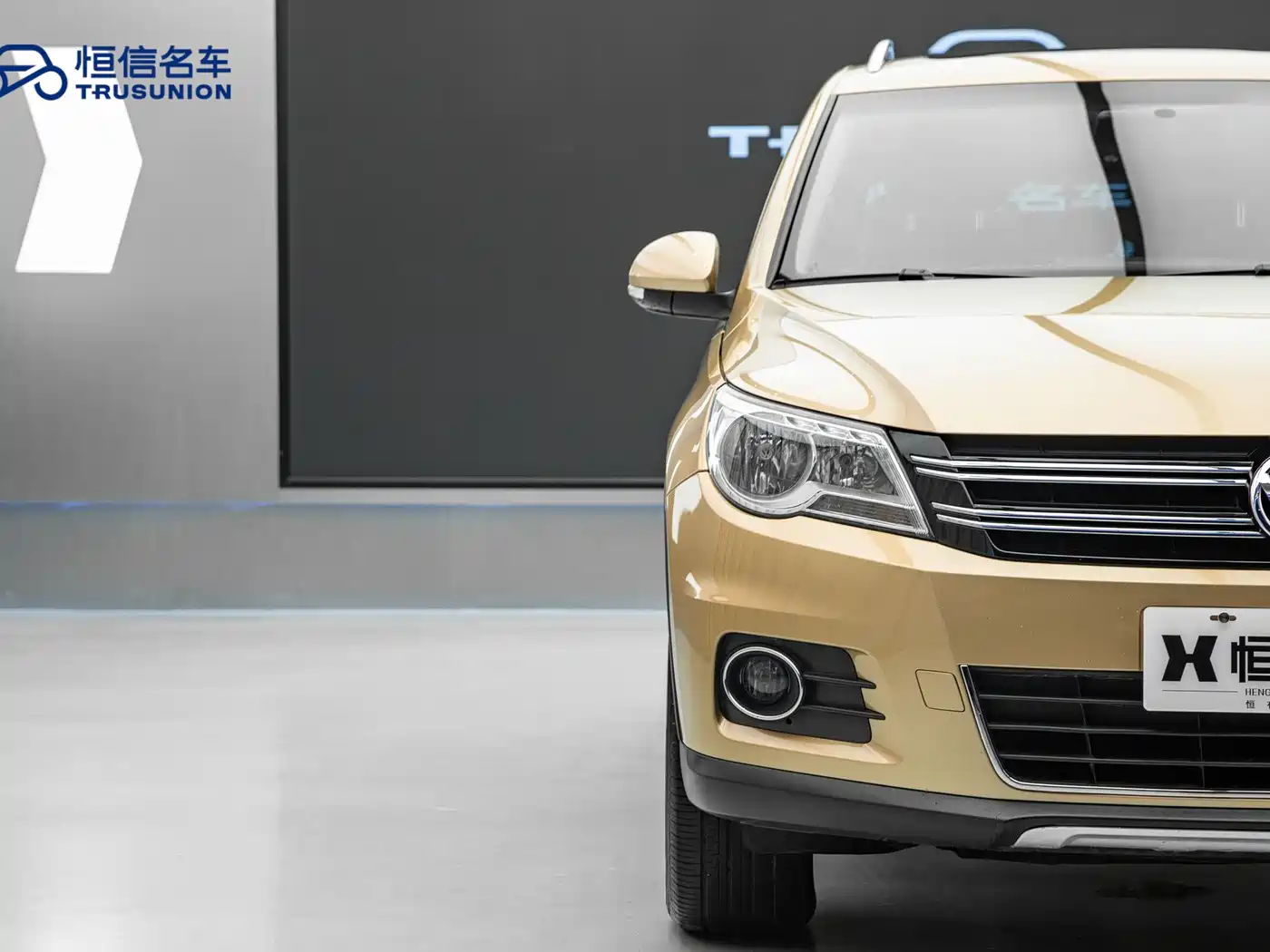 Volkswagen Tiguan 2012 2.0TSI Automatic 4WD Elite Edition фото 8