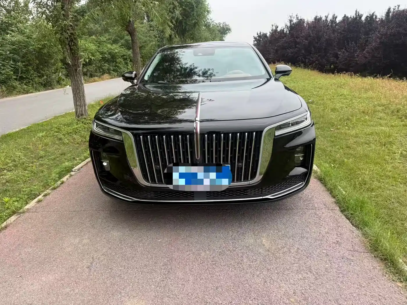 Hongqi H9 2020 2.0T Smart Connection Qi Xiang Edition фото 2