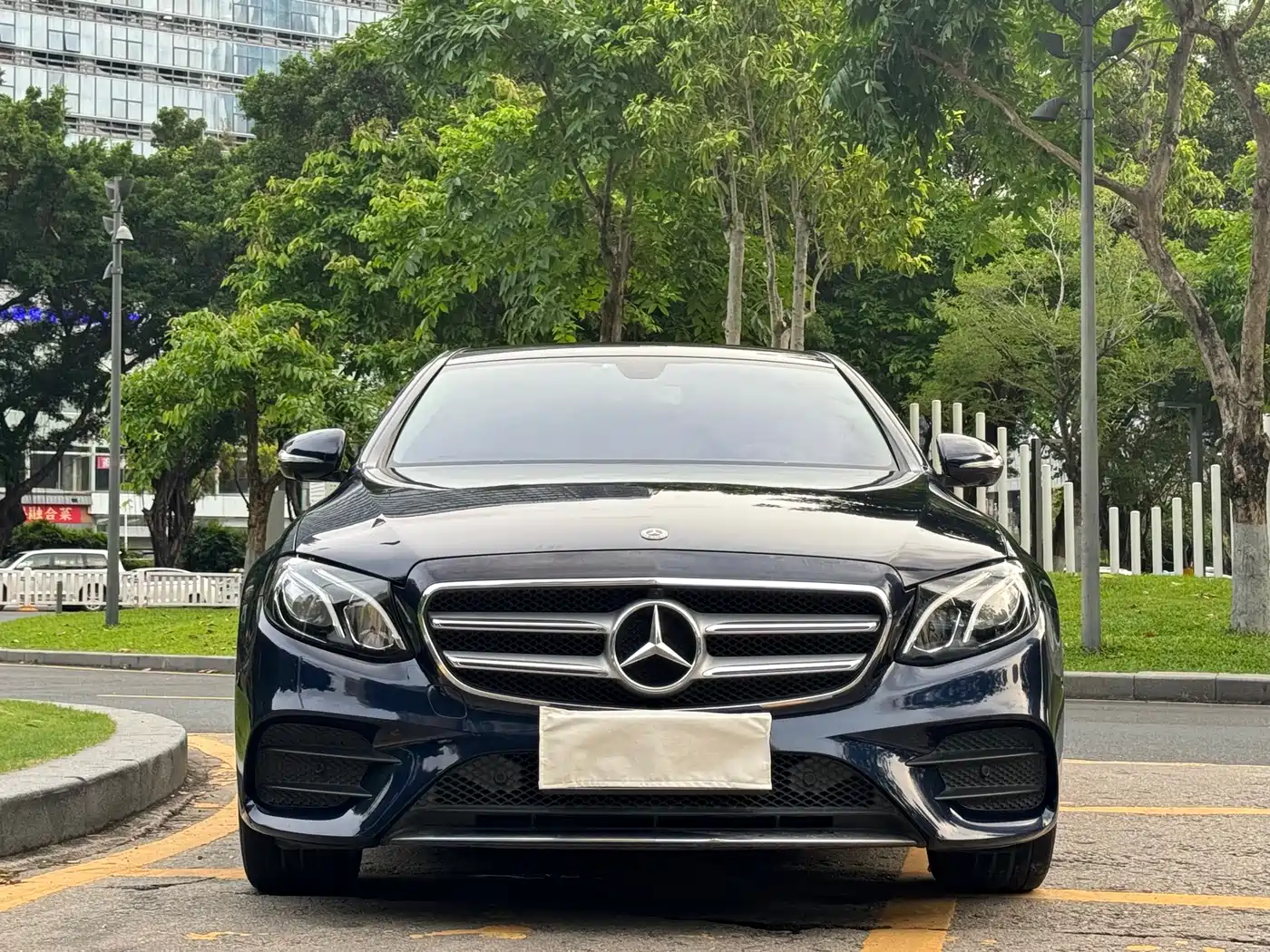 Mercedes-Benz E-Class 2020 E 300 L Sport Luxury Model фото 2