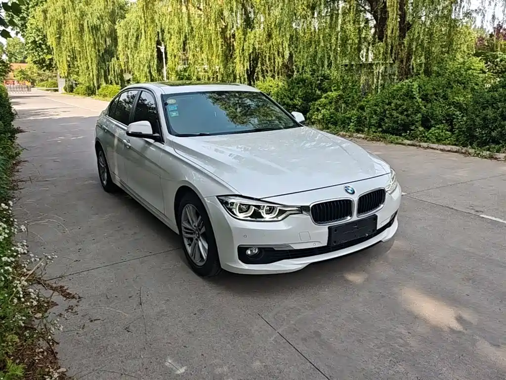 BMW 3 Series 2017 320Li Fashion фото 4