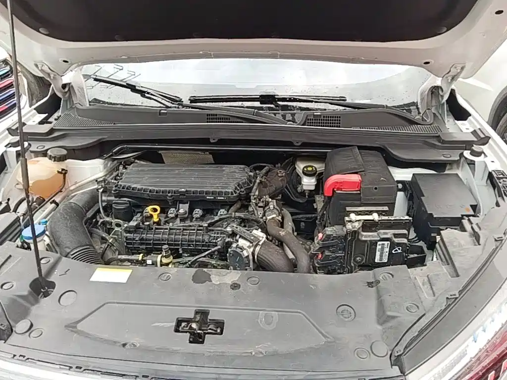 Dongfeng Aeolus Haohan 2024 2023 1.5T Luxury Edition