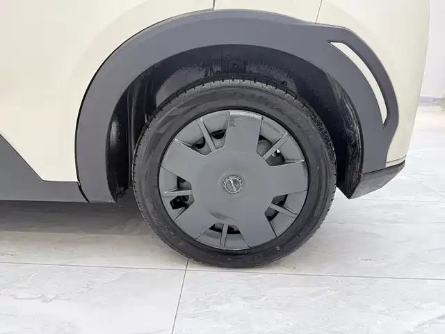 BYD Seagull 2024 Glory Edition 305km Vitality Edition фото 15
