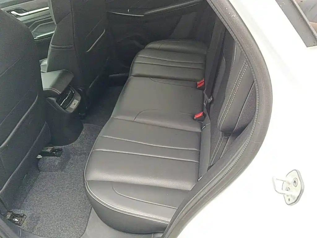 Dongfeng Aeolus Haohan 2024 2023 1.5T Luxury Edition