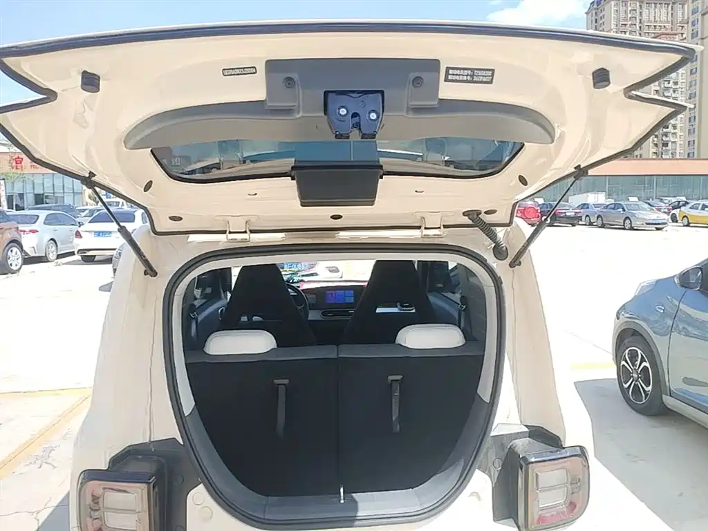 Geely Galaxy Panda 2025 Panda mini 210km Vitality Bear фото 19