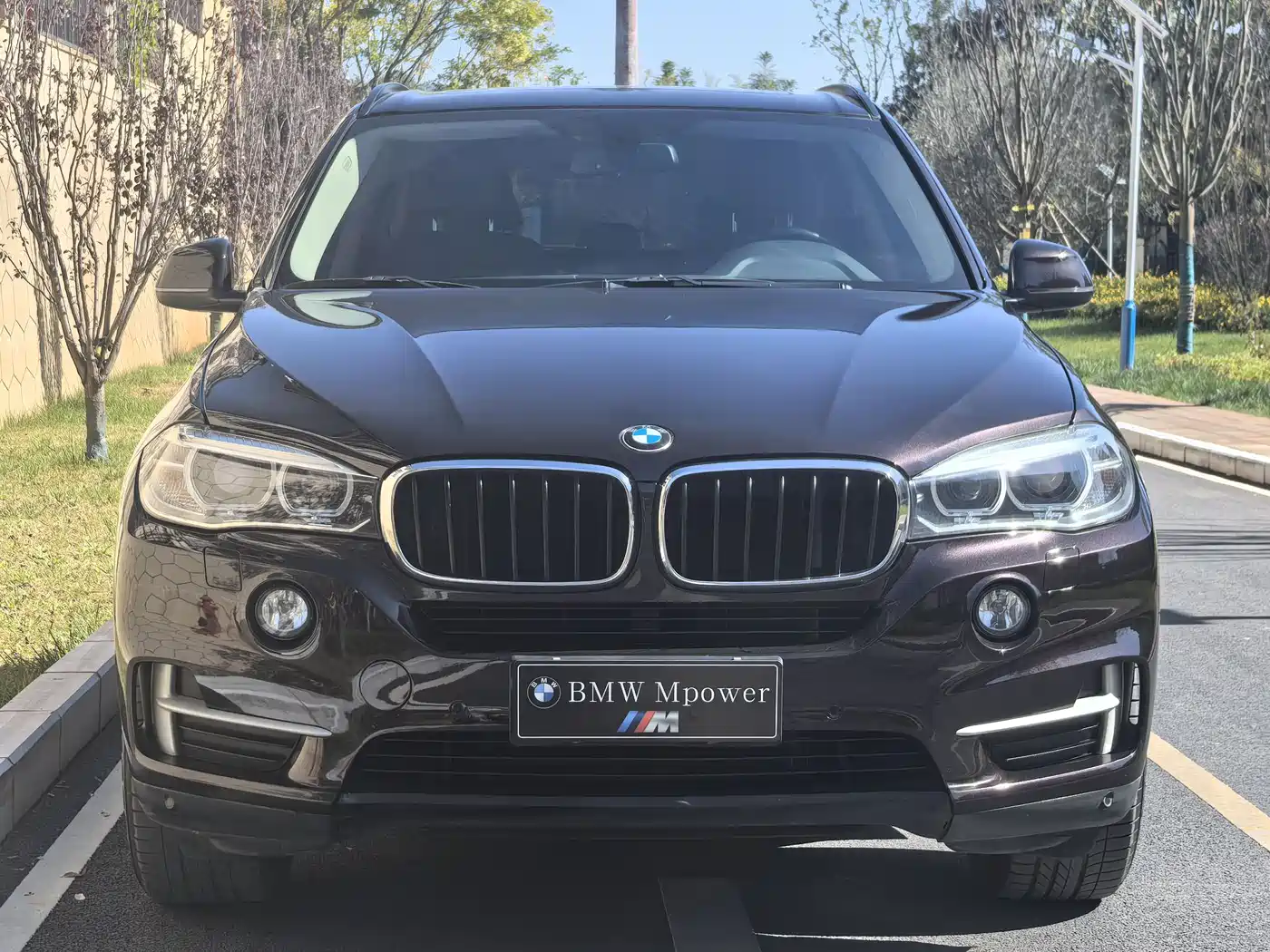 BMW X5 (Import) 2015 xDrive28i фото 2