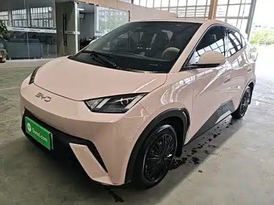 BYD Seagull
