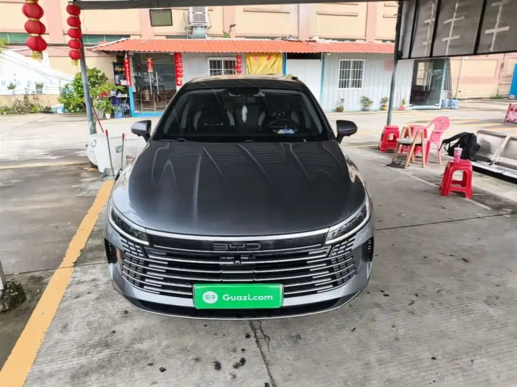 BYD Destroyer 05 2023 Champion Edition DM-i 55KM Luxury фото 3
