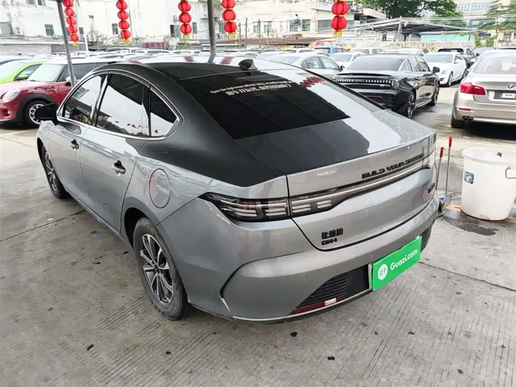 BYD Destroyer 05 2023 Champion Edition DM-i 55KM Luxury фото 5