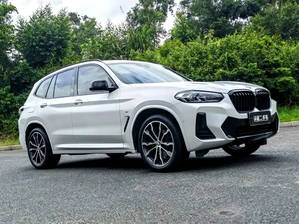 BMW X3 2022 Model Second Facelift xDrive30i Leading M Night Package фото 3