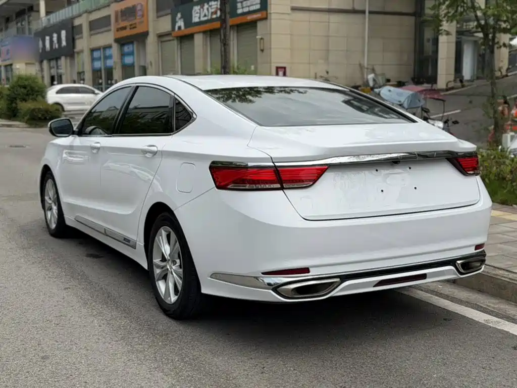 Geely Borui 2020 2020 1.5T MHEV Premium Edition